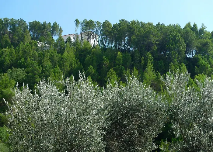 Apartments Maslina